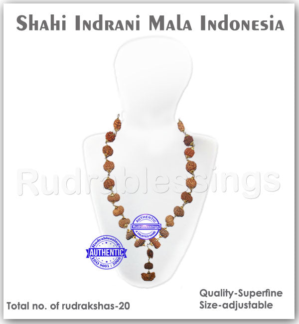 Rudraksha Shahi Indrani Mala from Indonesia (Big size beads)