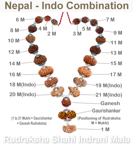 Rudraksha Shahi Indrani Mala Indo Nepal Combo