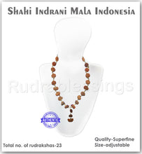 Load image into Gallery viewer, Rudraksha Shahi Indrani Mala (Indonesian Mini / Tiny size beads)
