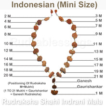 Load image into Gallery viewer, Rudraksha Shahi Indrani Mala (Indonesian Mini / Tiny size beads)
