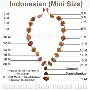 Rudraksha Shahi Indrani Mala (Indonesian Mini / Tiny size beads)