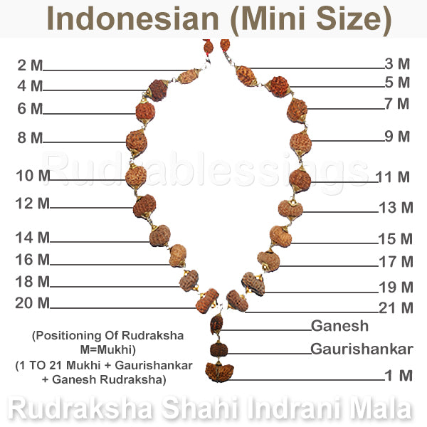Rudraksha Shahi Indrani Mala (Indonesian Mini / Tiny size beads)