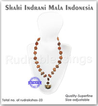Load image into Gallery viewer, Rudraksha Shahi Indrani Mala (Indonesian Standard size beads)
