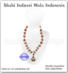 Rudraksha Shahi Indrani Mala (Indonesian Standard size beads)