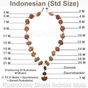 Rudraksha Shahi Indrani Mala (Indonesian Standard size beads)