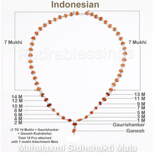 Mahalaxmi Rudraksha SidhShakti Mala from Indonesia (Mini size beads) - 2 (Pure Silver)