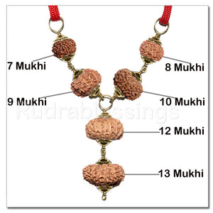 Rudraksha Maharaja Business / Service Pendant From Indonesia