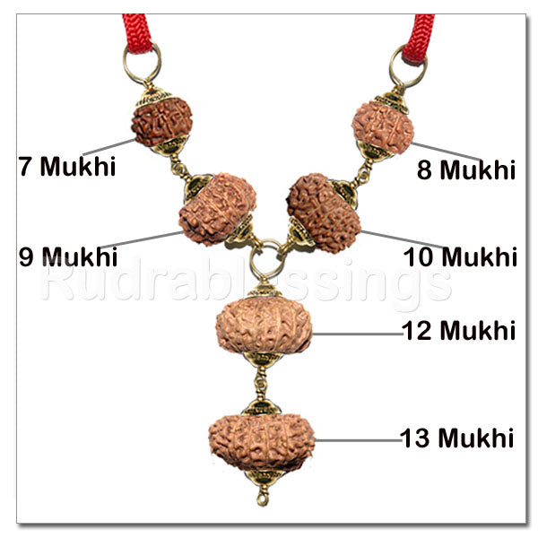 Rudraksha Maharaja Business / Service Pendant From Indonesia