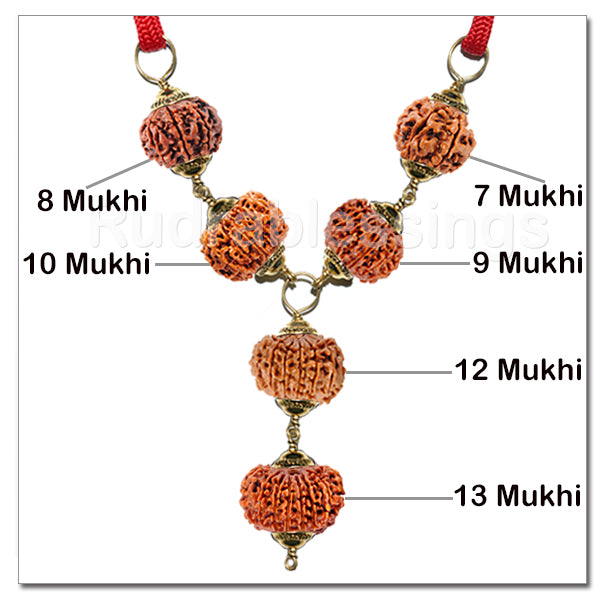 Rudraksha Maharaja Business / Service Pendant From Nepal