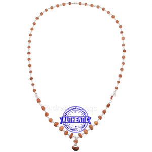 Rudraksha MahaSidhShakti Mala from Indonesia (Std size beads) - 1 (Pure Silver)
