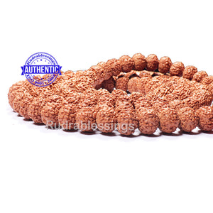 9 mukhi Rudraksha Mala - Indonesian (54 + 1 beads) - 4