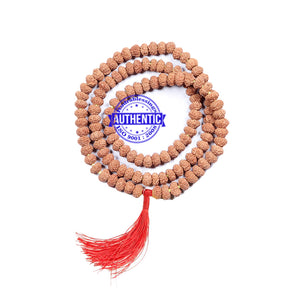 9 Mukhi Rudraksha Mala - Indonesian (108 + 1 beads) - 1