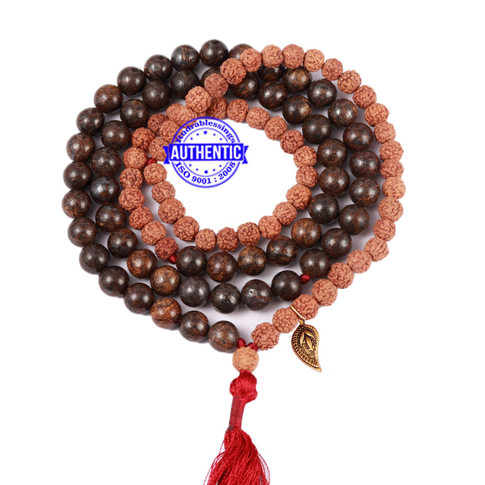 Bronzite Stone + Rudraksha Mala with Belpatra accessory