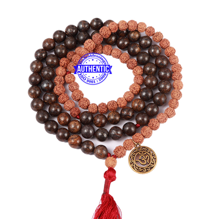 Bronzite Stone + Rudraksha Mala with OM accessory