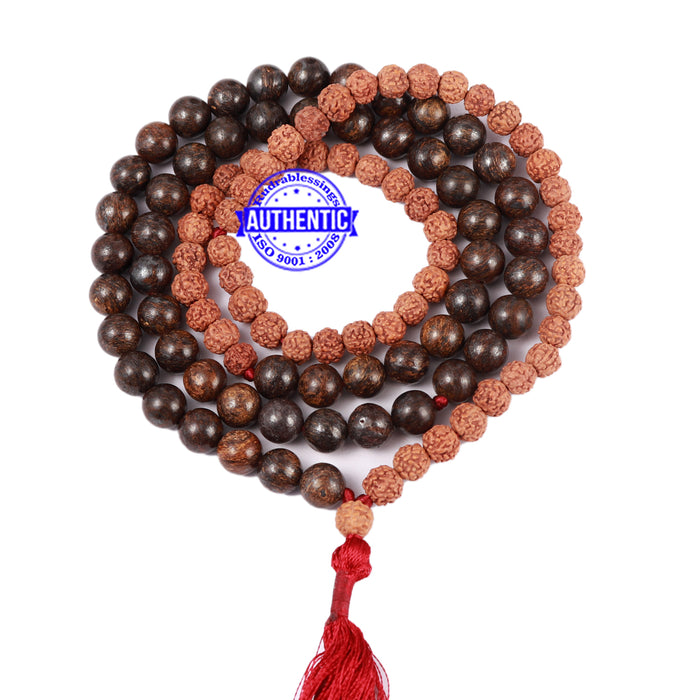 Bronzite Stone + Rudraksha Mala - 2