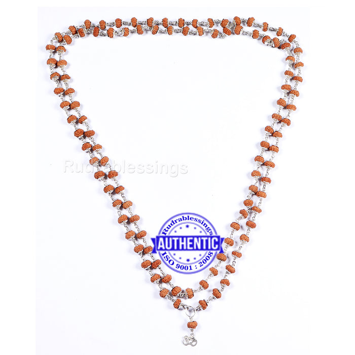 9 Mukhi Indonesian Rudraksha Mala - 108+1 (Pure Silver)