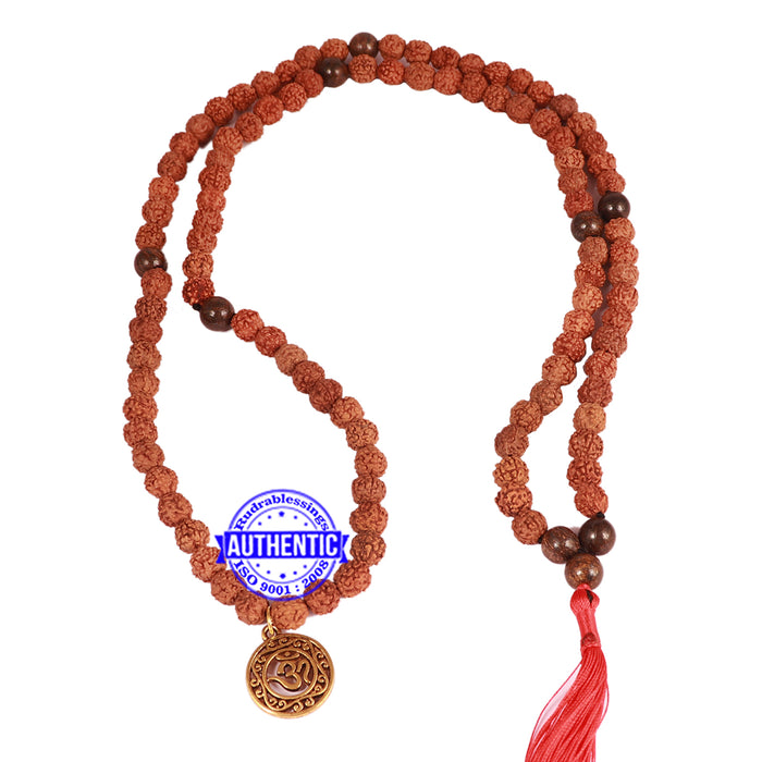 Bronzite Stone + Rudraksha Mala with OM accessory - 3