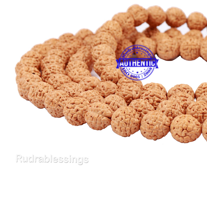5 Mukhi Rudraksha Laghu Coconut Shape Mala