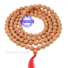 Load image into Gallery viewer, 5 Mukhi Rudraksha Laghu Coconut Shape Mala

