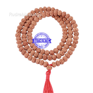 5 mukhi Chikna Chapta Rudraksha Mala
