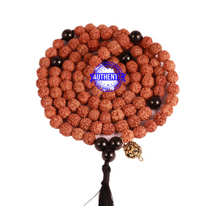 Black Tourmaline + Rudraksha Mala with Lion accessory - 2