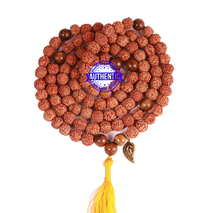 Tiger Eye Stone + Rudraksha Mala with Belpatra accessory - 4