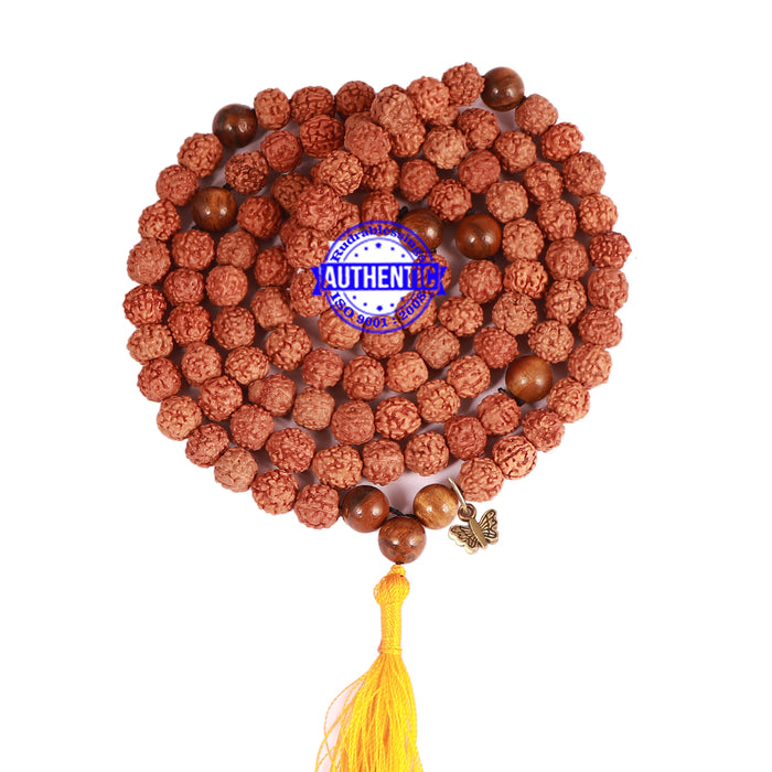 Tiger Eye Stone + Rudraksha Mala with Butterfly accessory - 4
