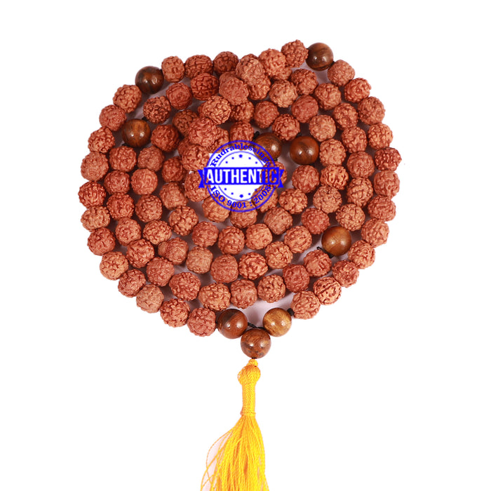 Tiger Eye Stone + Rudraksha Mala - 4