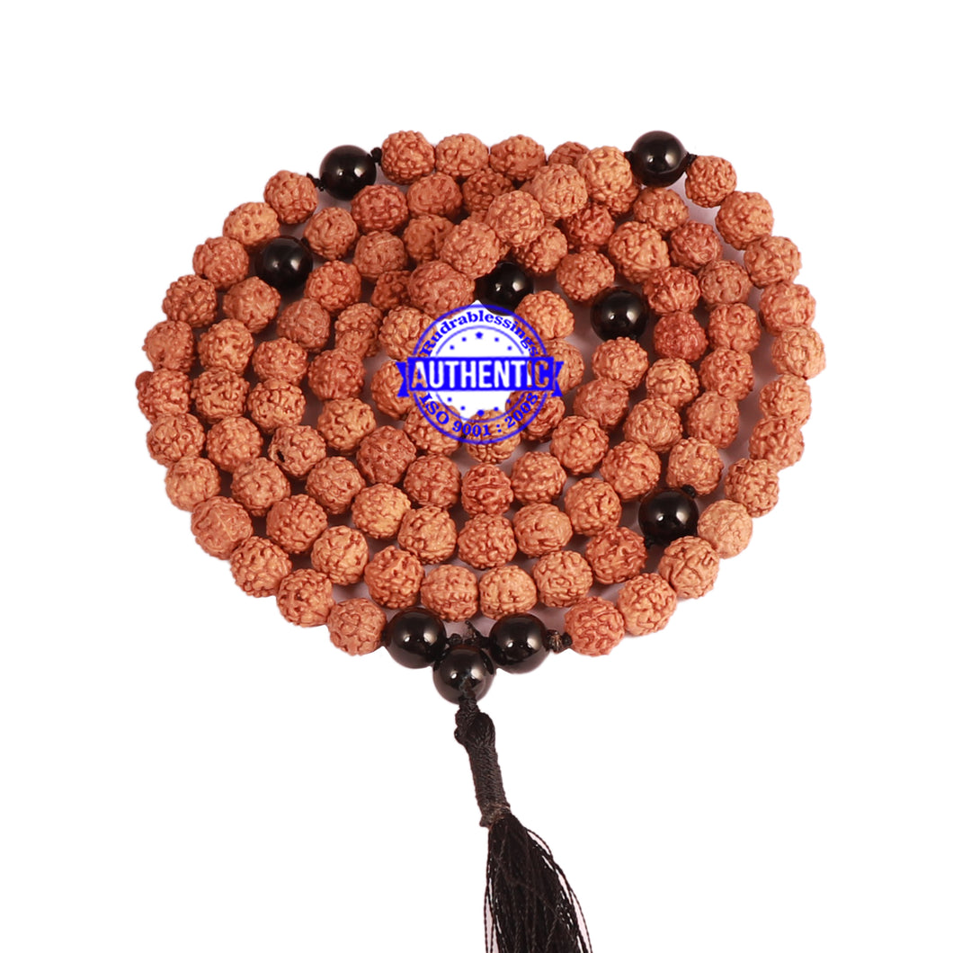 Black Onyx + Rudraksha Mala - 2