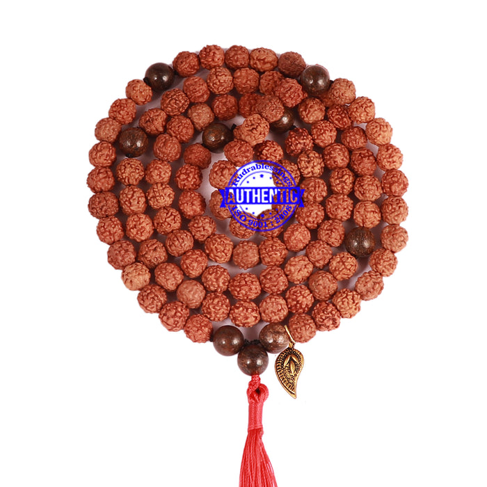 Bronzite Stone + Rudraksha Mala with Belpatra accessory - 3