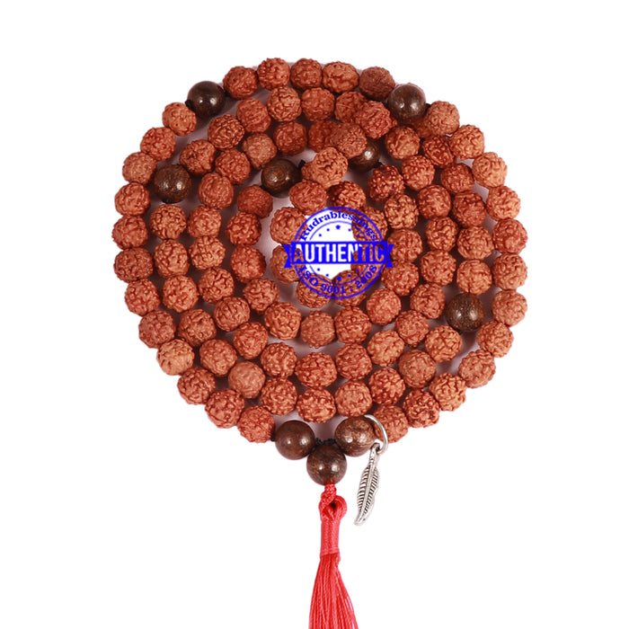 Bronzite Stone + Rudraksha Mala with Feather accessory - 3