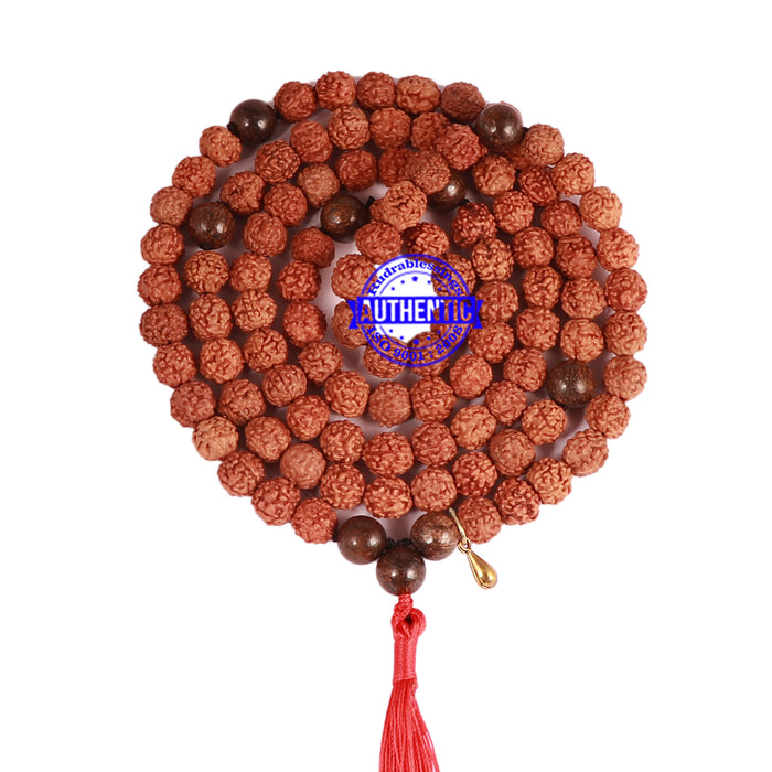 Bronzite Stone + Rudraksha Mala with Gada accessory - 3