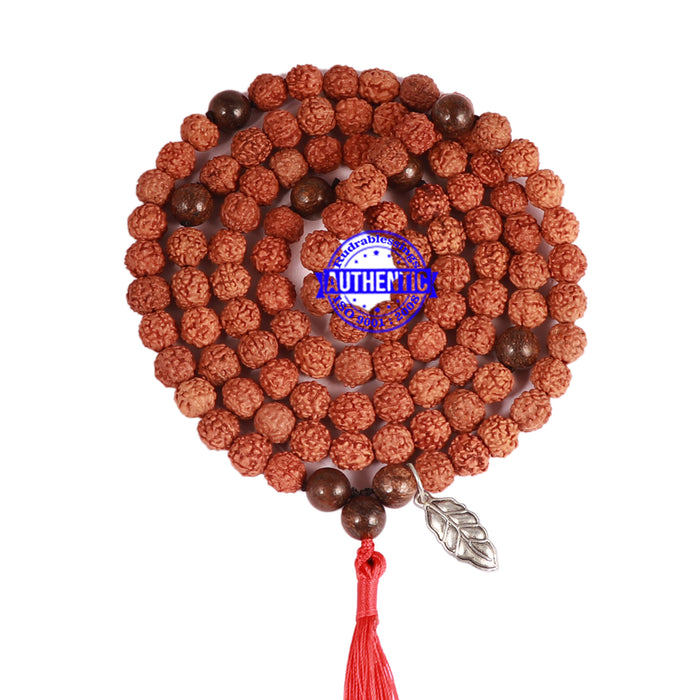 Bronzite Stone + Rudraksha Mala with Leaf accessory - 3