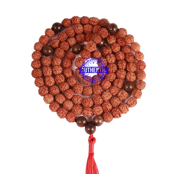 Bronzite Stone + Rudraksha Mala - 3