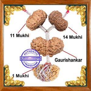 Rudraksha Meditation / Spiritual Pendant From Indonesia