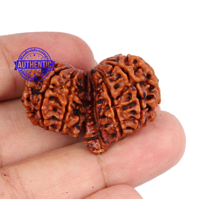 Mini Trijudi - Bead No. 26