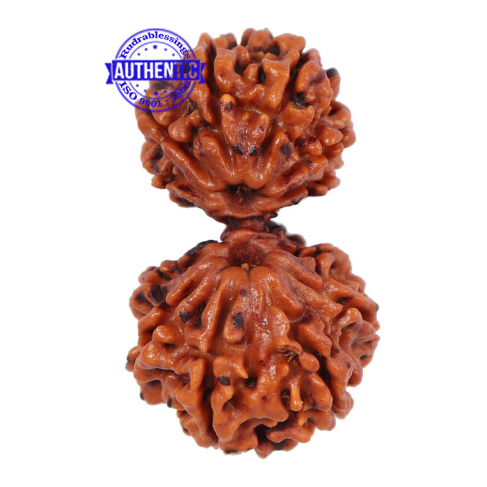 Mini Trijudi - Bead No. 26