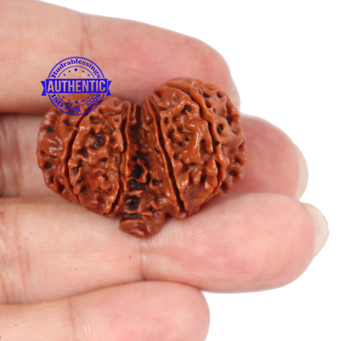 Mini Trijudi - Bead No. 27