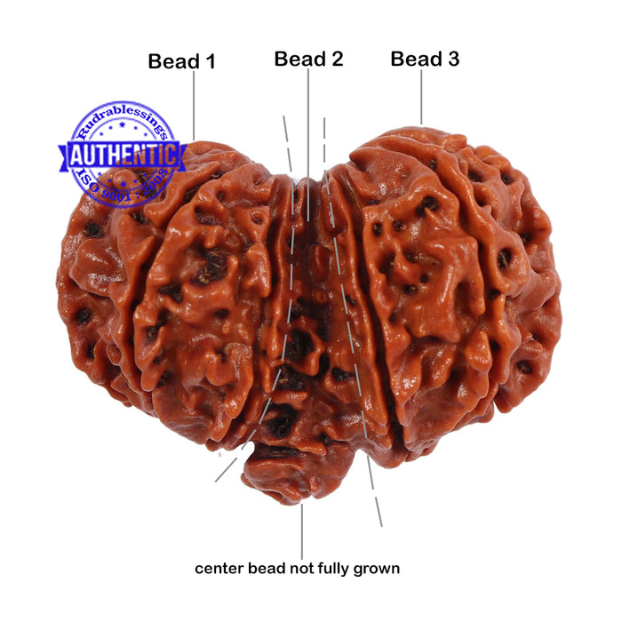 Mini Trijudi - Bead No. 27