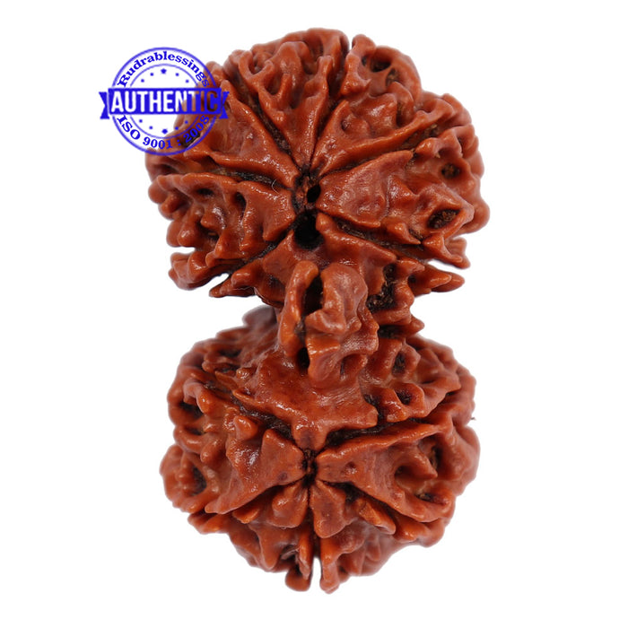 Mini Trijudi - Bead No. 27