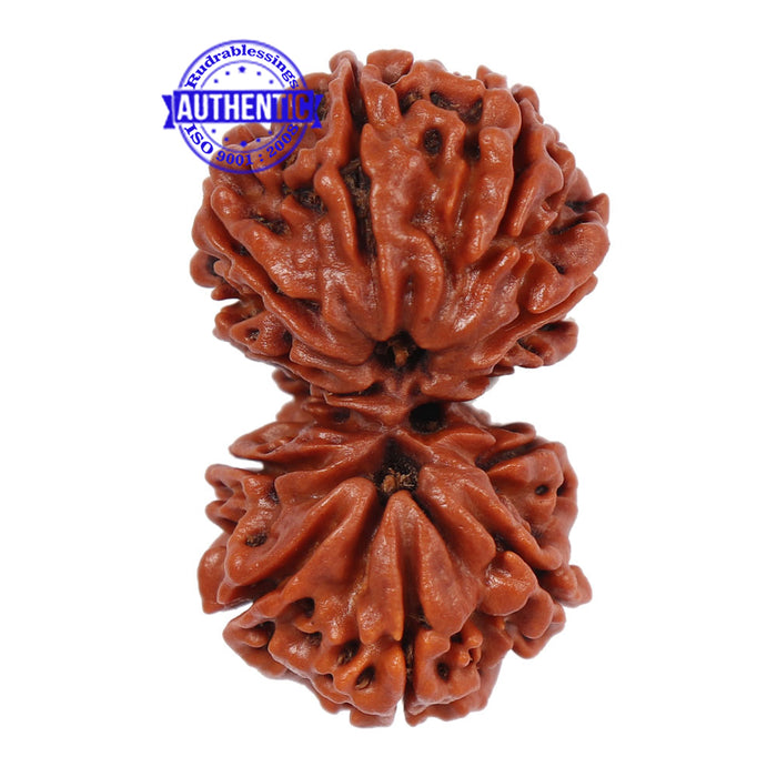 Mini Trijudi - Bead No. 27