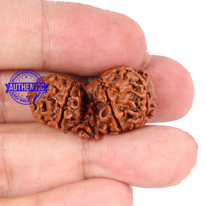 Mini Trijudi - Bead No. 29