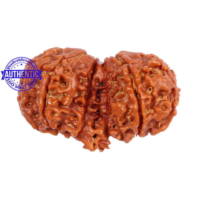 Mini Trijudi - Bead No. 30