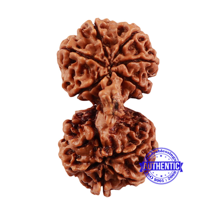 Mini Trijudi - Bead No. 34