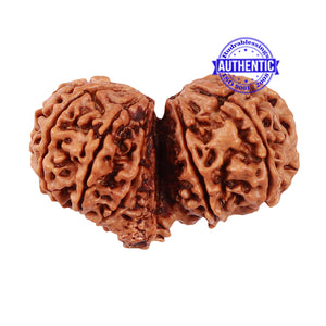 Mini Trijudi - Bead No. 34