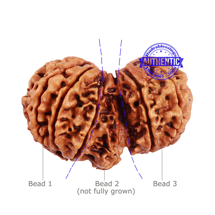 Mini Trijudi - Bead No. 35