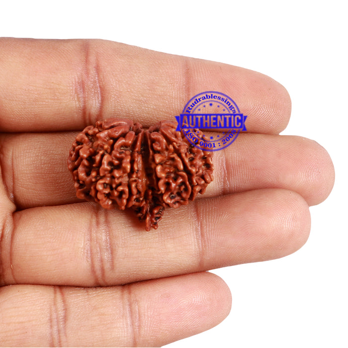 Mini Trijudi - Bead No. 37