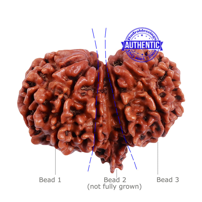 Mini Trijudi - Bead No. 37
