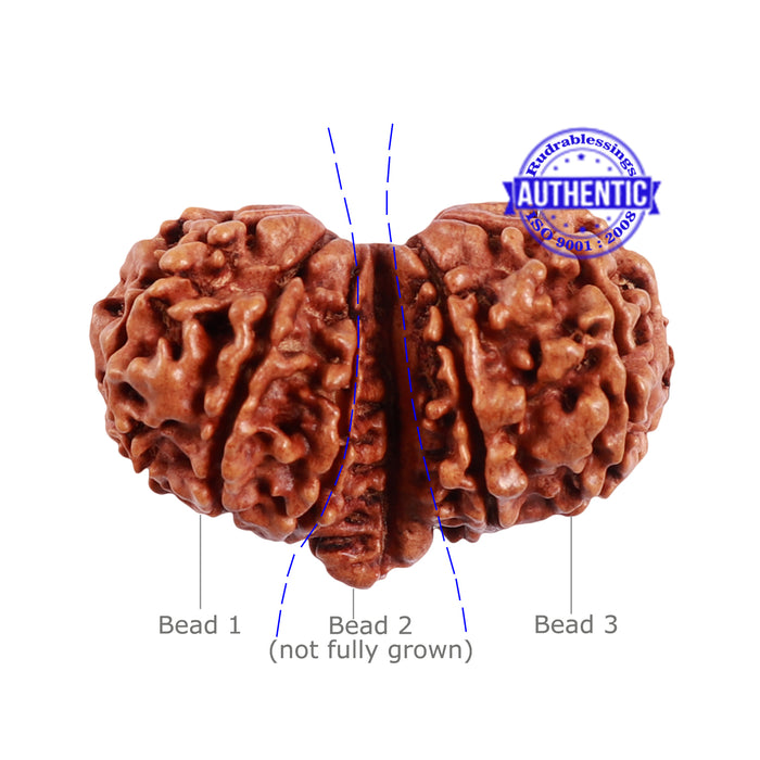 Mini Trijudi - Bead No. 38