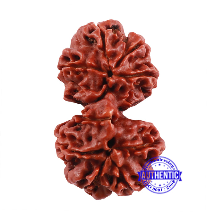 Mini Trijudi - Bead No. 39